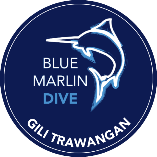 Restaurant Gili Trawangan